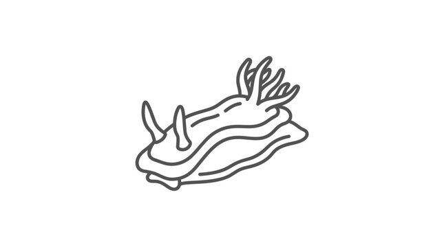 Nudibranch sea slug with gills line art illustration.