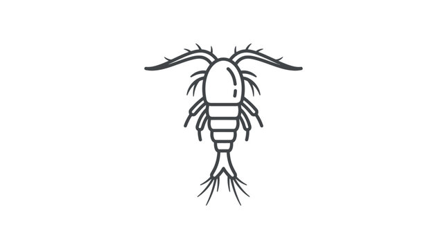 Microscopic copepod zooplankton species line art.