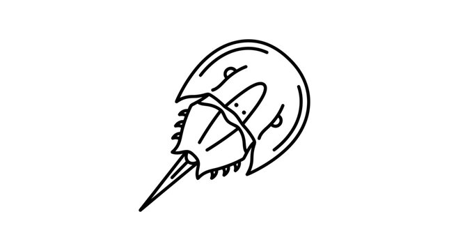 Horseshoe crab perspective line art illustration.