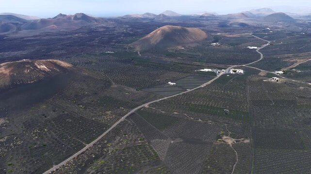 Aerial View of La Geria Lanzarote Volcanic Vineyards and Malvasia Wine Production Valley