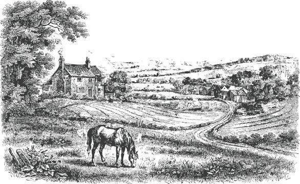 Rural landscape with old house, horse grazing in field, trees, and distant village view.