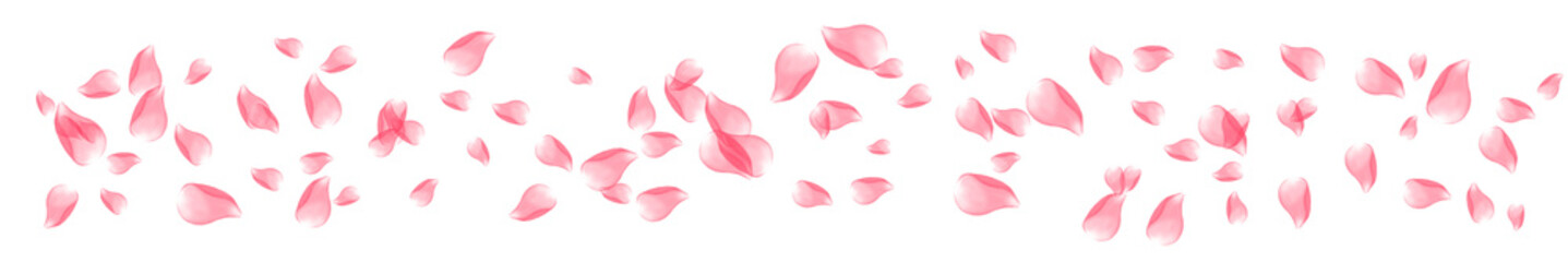 Floating dark red rose petals on transparent background. Romantic flying red flower petals overlay background for romantic, Valentine's Day, luxury, dramatic creative overlays, wedding invitations © Wulandari
