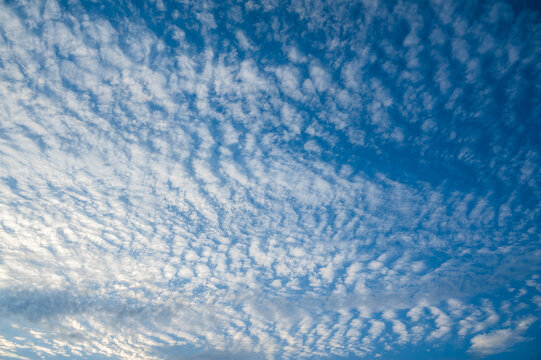 blue sky and cirrocumulus clouds