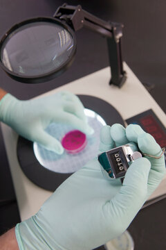 Scientist counting bacterial colonies with counting machine