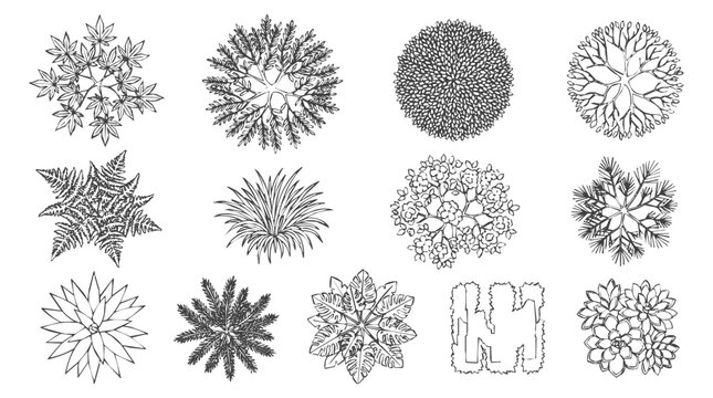 A professional collection of tree plan and landscape symbol icons for site plan architectural drawing and natural vegetation design layouts.