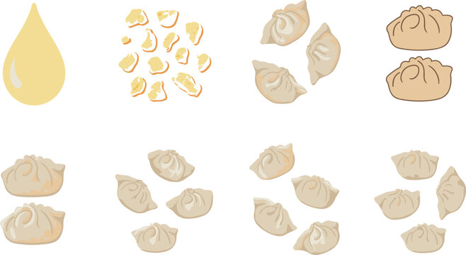 Traditional handmade dumpling vector set featuring gyoza dim sum wonton dough and pleated momo illustrations isolated on white background for culinary recipe and menu design.