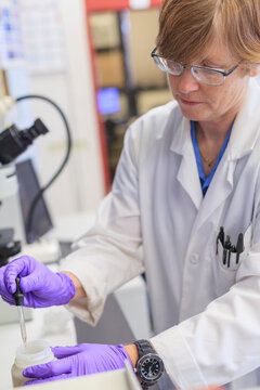 Lab chemist collecting a small amount of liquid with a dropper