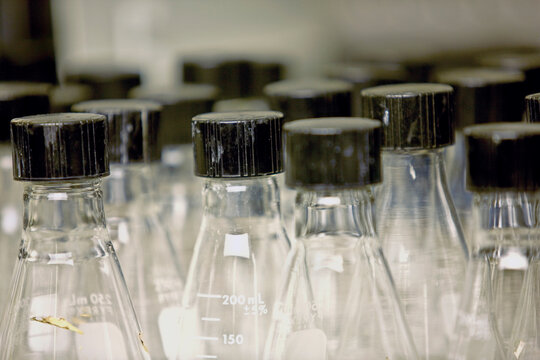 Glass beakers in laboratory, close-up