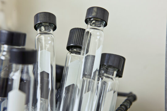Test tubes in laboratory, close-up