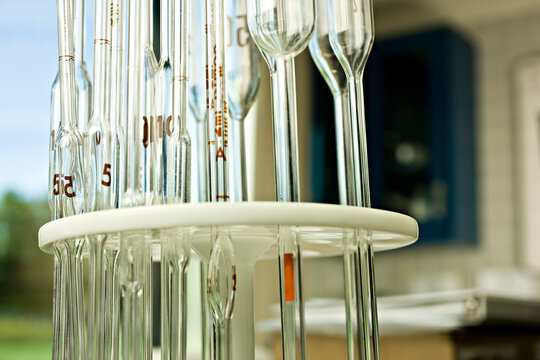 Test tubes in laboratory, close-up