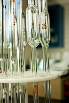 Test tubes in laboratory, close-up
