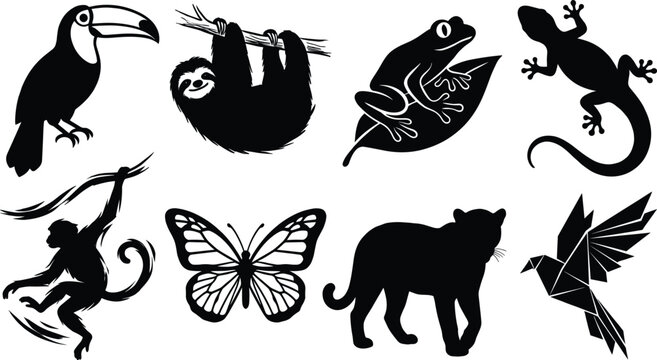 Rainforest wildlife animal silhouettes collection with toucan sloth frog monkey butterfly jaguar and hummingbird