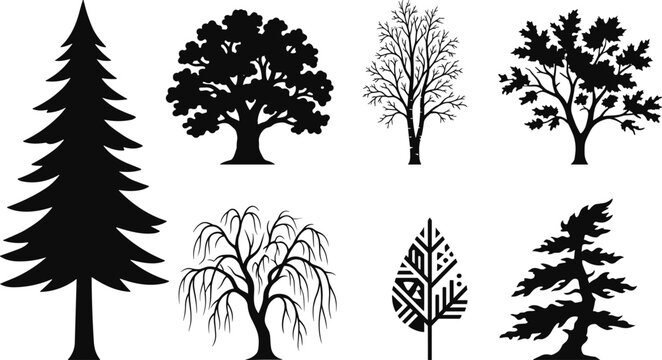 Tree Silhouette Collection Featuring Diverse Species Including Oak, Pine, Birch, Maple, Willow, Cedar, Poplar, and Sapling Designs