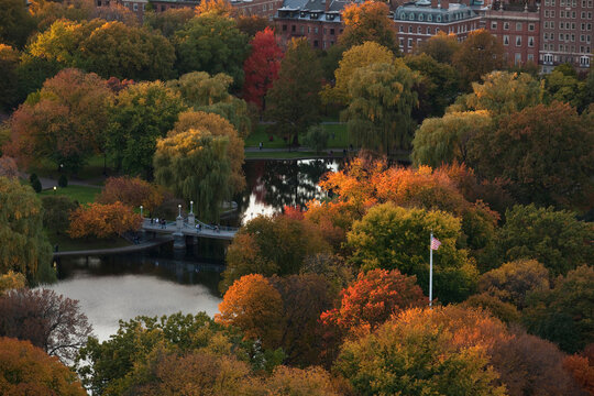 Boston Public Garden in fall with walking bridge and the Lagoon from above