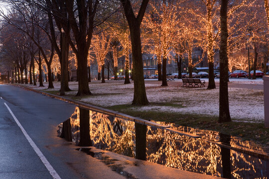 Christmas decoration, Commonwealth Avenue Mall