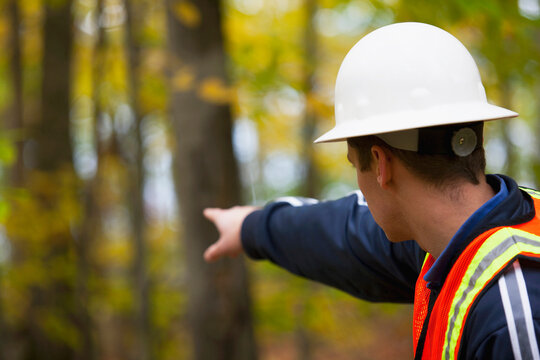 Engineer pointing towards a forest