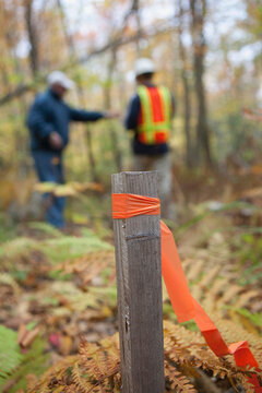Engineers examining a construction site