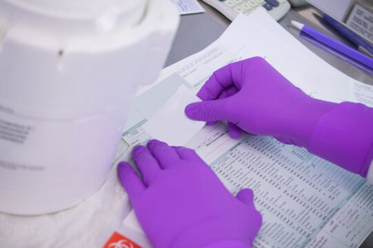 Scientist holding a medical report