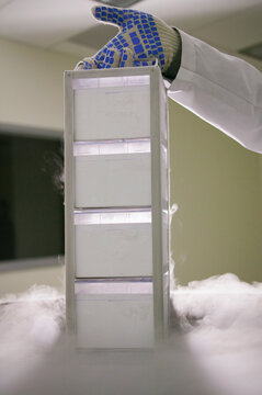 Scientist removing tissue samples from a storage tank of liquid nitrogen