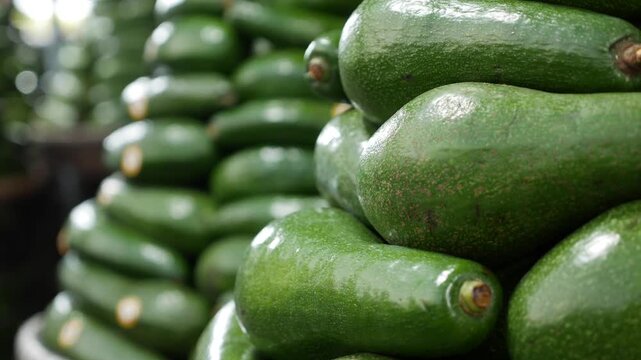 A pile of ripe avocados is arranged together on a vegetable market stall forming a compact retail display inside a traditional open air food trading space. Food display.