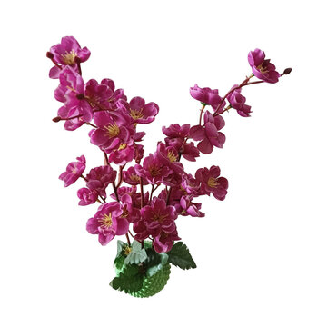 Colorful cluster flowers icon illustration