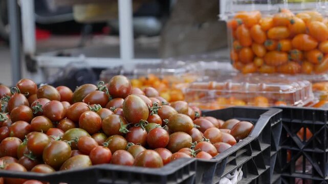 Brown cherry tomatoes stacked inside a plastic crate displayed for sale at a local market counter arranged in compact rows forming a fresh produce display. Fresh produce.