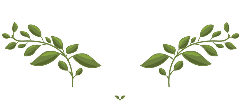 ramos de folhas - leaf branches