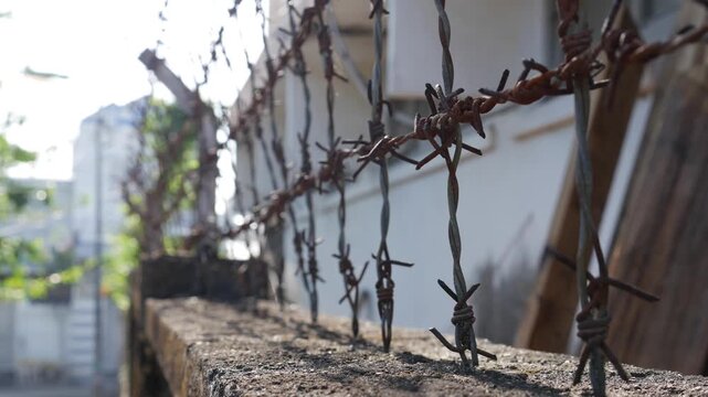 Barbed wire runs along a fence forming a continuous line of sharp metal points installed as a boundary element against a plain wall surface. Restricted area.