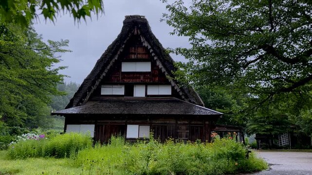 Static wide shot of traditional gassho-zukuri house surrounded by lush greenery in rainy Shirakawa-go village, Japan
