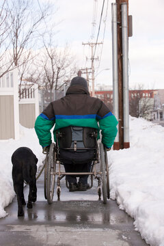 Woman with multiple sclerosis in a wheelchair with a service dog on a snowy street