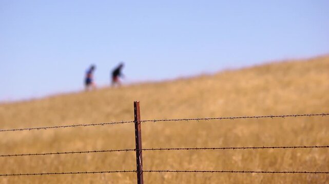 trail runners training on a grassy hill