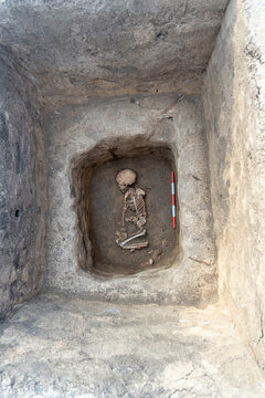 Archaeological excavations. Human remains, bones of skeleton and skulls of 6 year old child in the ground tomb.