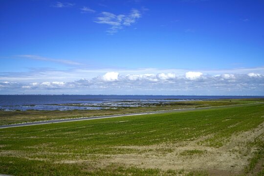 North Sea at low tide in summer