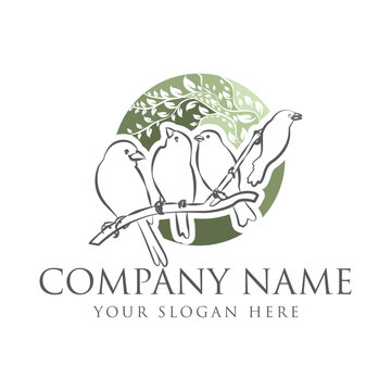 Elegant Bird Family Logo Design with Nature Inspired Circular Emblem