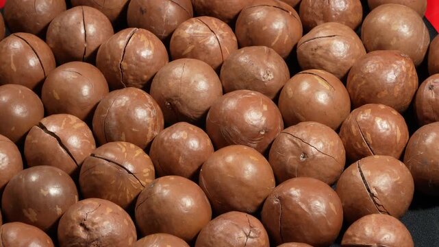 Close-up of premium roasted macadamia nuts in shell rotating slowly, creating a dense nutritious texture backdrop.