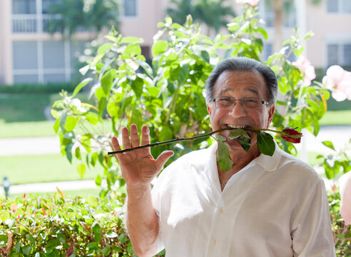 Senior man holding a flower in his teeth