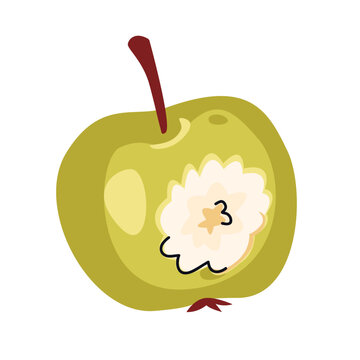 Bitten green apple. Vector illustration of fresh fruit isolated on white background. Snack for school. Autumn harvest	