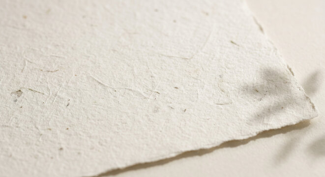 Sustainable material concept: 100% biodegradable natural fiber paper texture