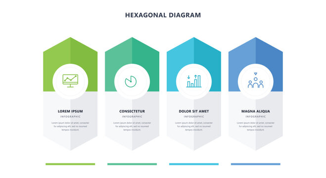 Hexagonal diagram business infographic template with four vertical options workflow timeline chart layout presentation design graphic vector illustration