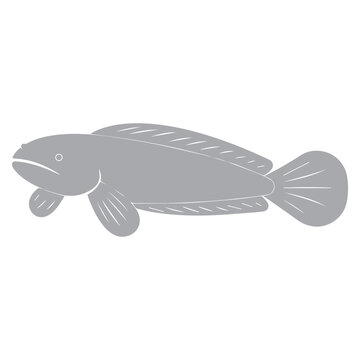 Snakehead fish illustration