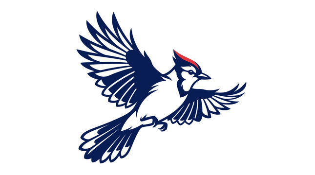 Blue Jay Bird Vector Illustration
