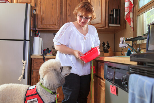 Poodle service dog with his master at the kitchen sink