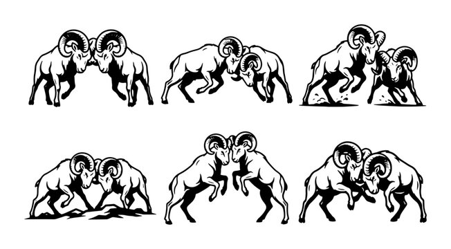 Ram Fighting Vector Icons, Aggressive Bighorn Sheep Combat Set, Powerful Wildlife Struggle Graphics