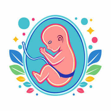 Illustration of a Fetus in the Womb