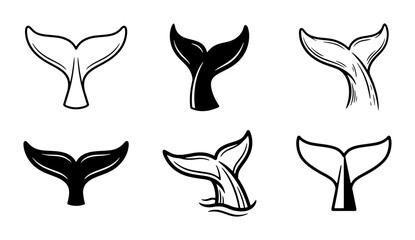 Whale Tail Vector Icons, Marine Mammal Fluke Silhouettes, Ocean Wildlife Graphics © Ahmed