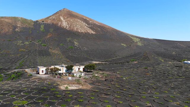 Aerial View of La Geria Lanzarote Volcanic Vineyards and Malvasia Wine Production Valley