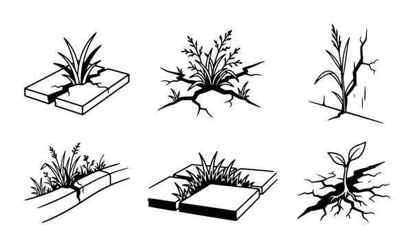 Weeds Growing Through Cracks: Resilience, Nature, Urban Plants, Resilience Vector Set