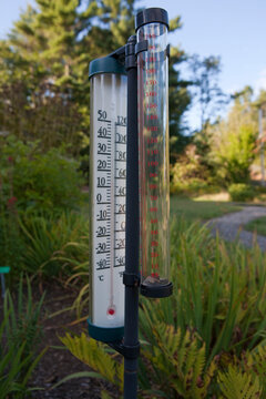 Thermometer and rain gauge in a garden