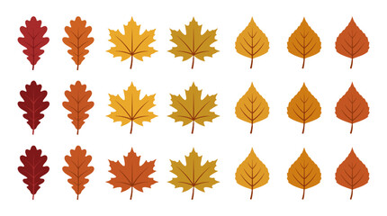 Fototapeta premium Set of autumn tree leaves in flat vector style on white
