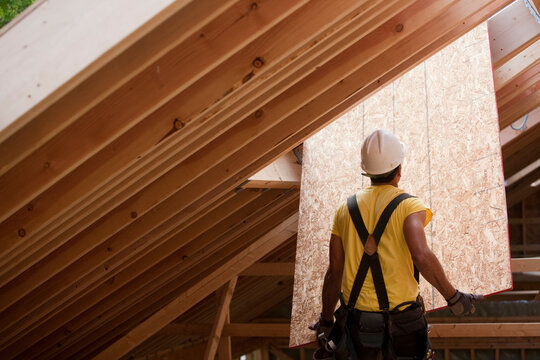Hispanic carpenter pushing sheathing up to roof at a house under construction